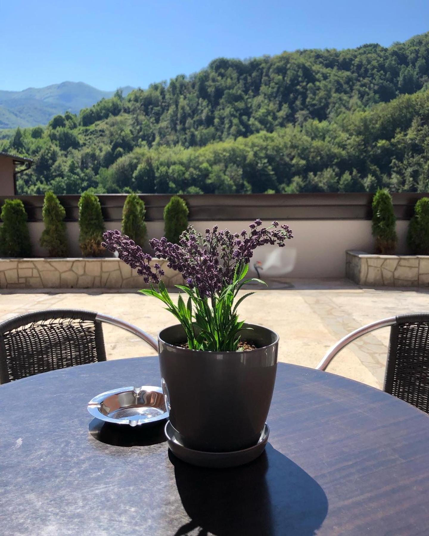 Aphrodite Hills Apartments-Stara Planina Crni Vrh Экстерьер фото